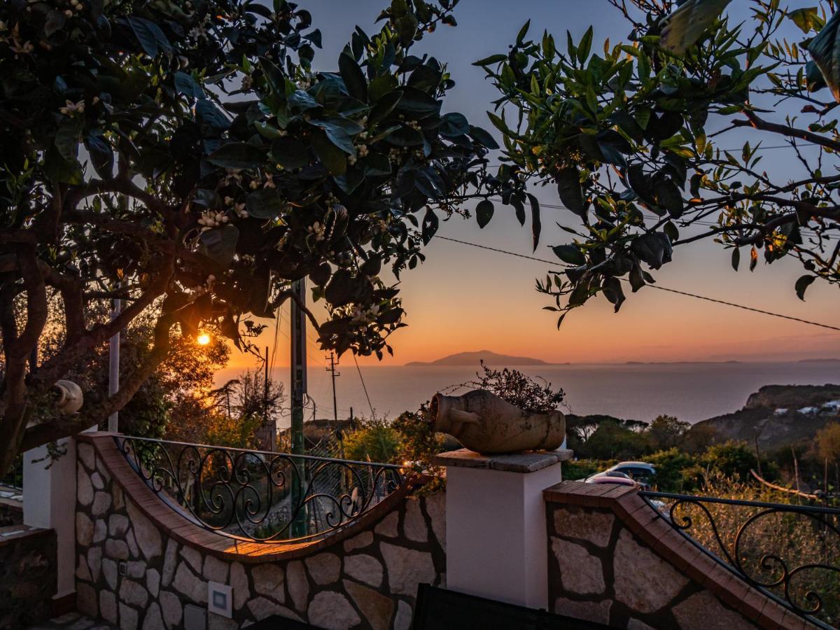 Casa Astra Bed & Breakfast Анакапри Екстериор снимка